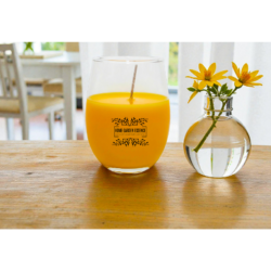 “Celebration / Successo”